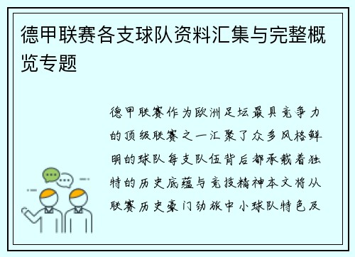 德甲联赛各支球队资料汇集与完整概览专题